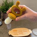 Fresh Food Feeder and Teether